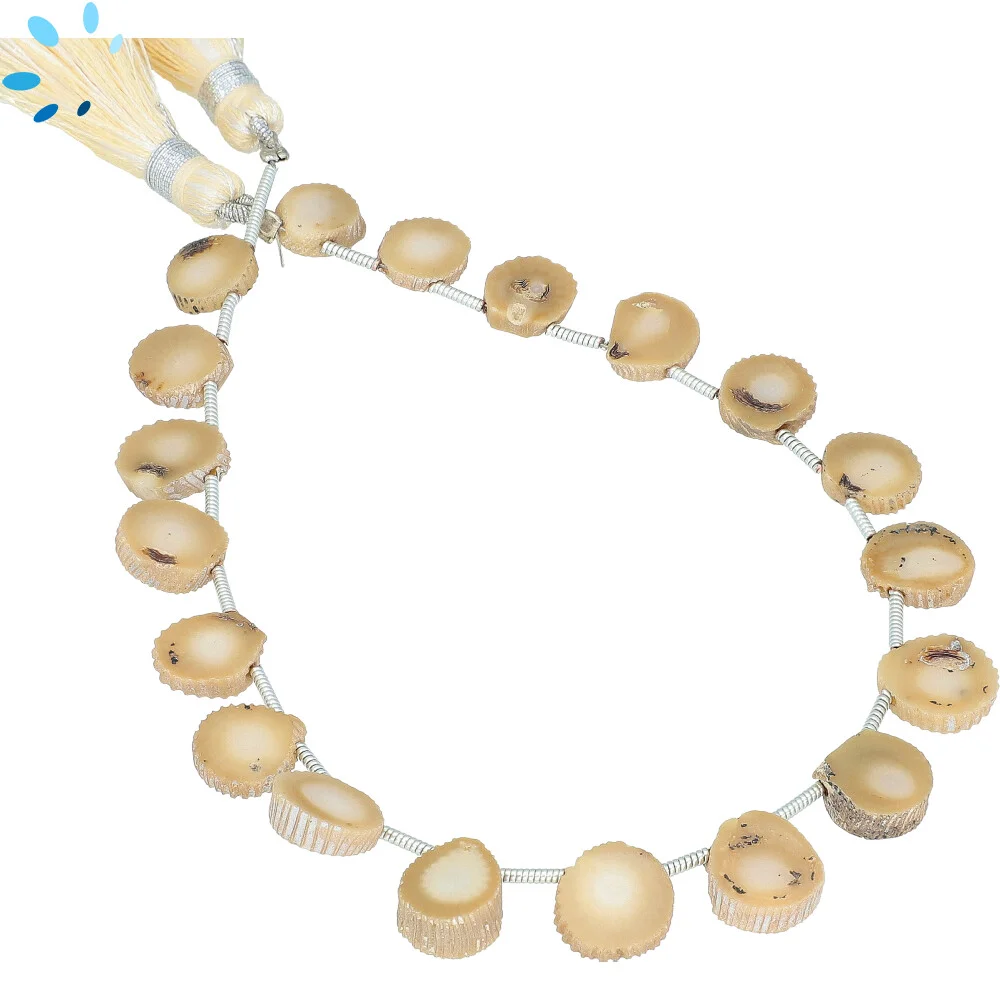 Coral Smooth Coin Top Drilled Beads 9mm - 8 Inch Strand