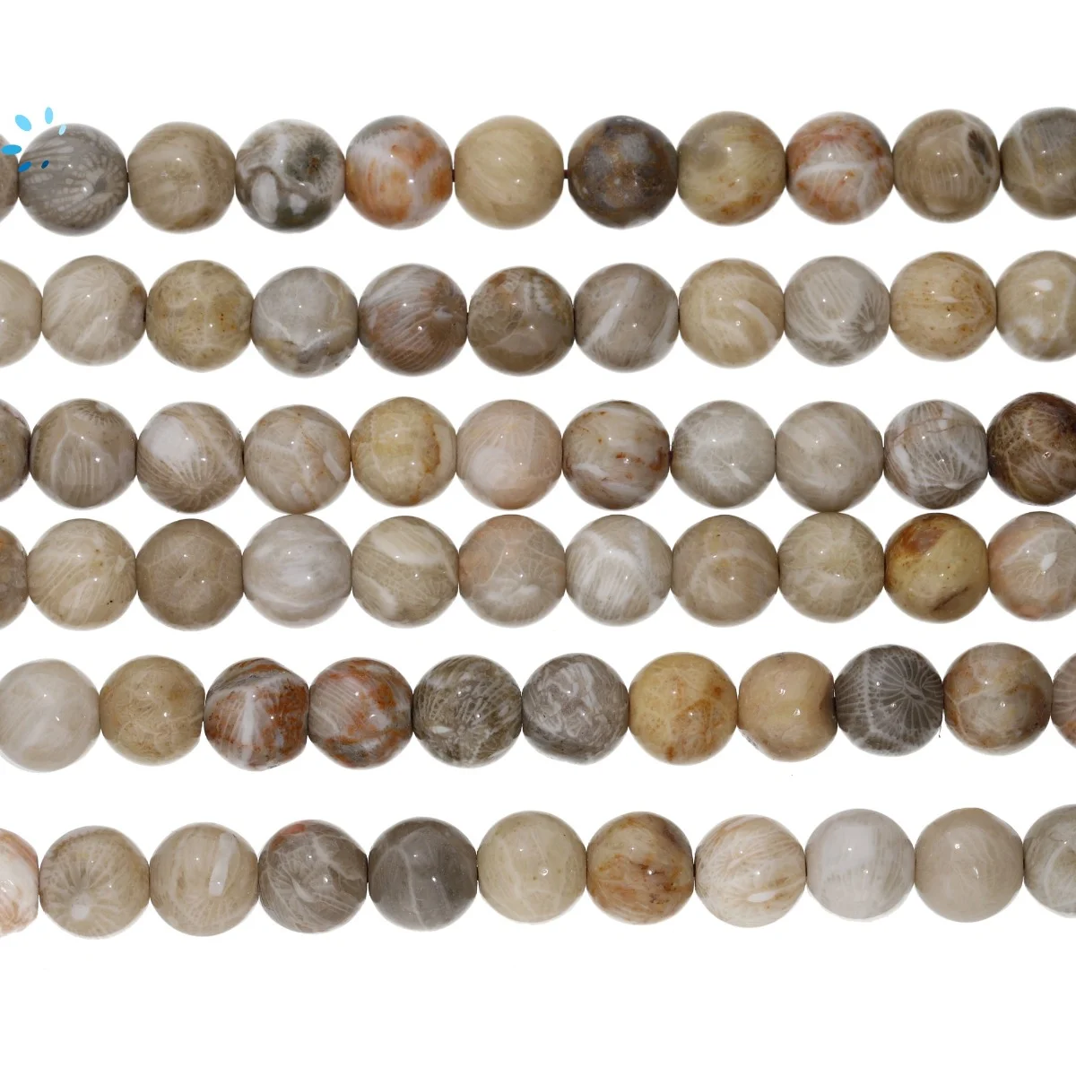 Coral Smooth Round Beads 8mm - 14 Inch Strand