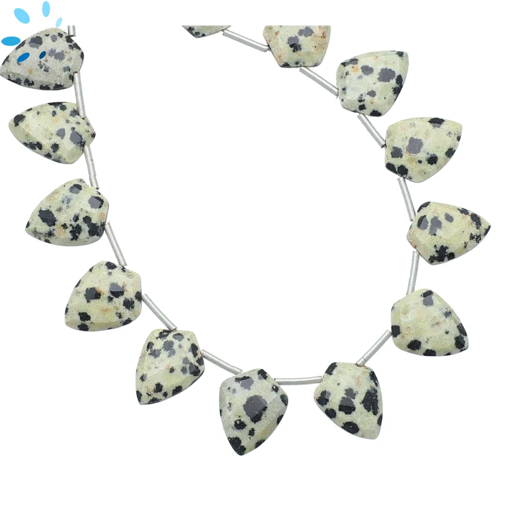 Dalmatian Jasper Faceted Shield Top Drilled Beads 13x10 - 15x12mm - 8 Inch Strand