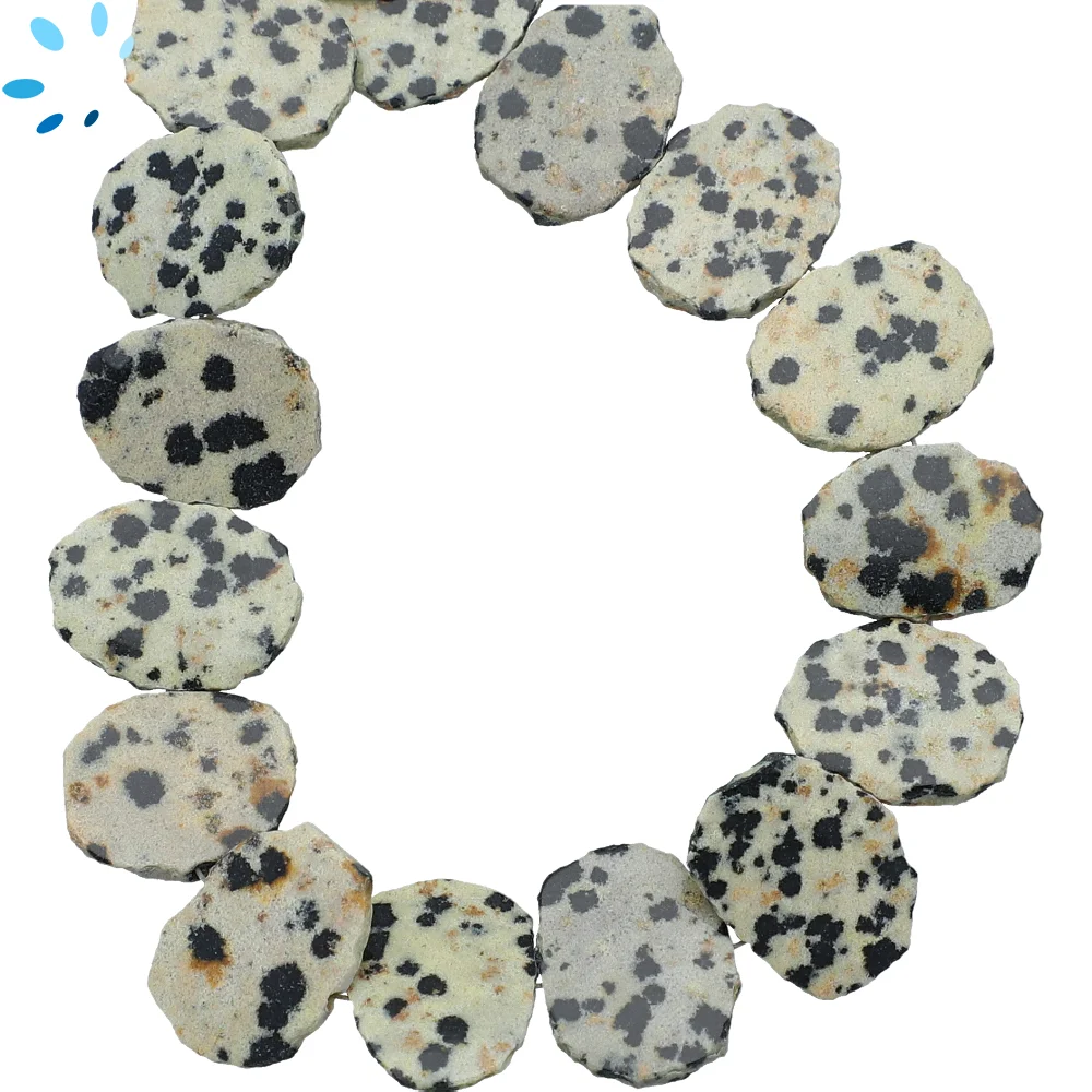 Dalmatian Jasper Smooth Slice Center Drilled Beads 15x11 - 17x13mm - 8 Inch Strand