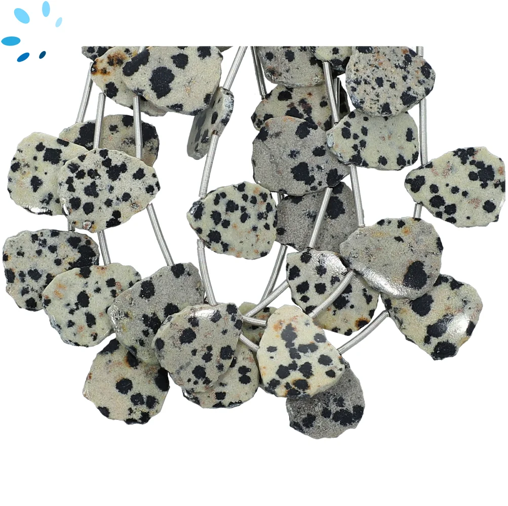 Dalmatian Jasper Smooth Slice Top to Bottom Drilled Beads 15x12mm - 8 Inch Strand