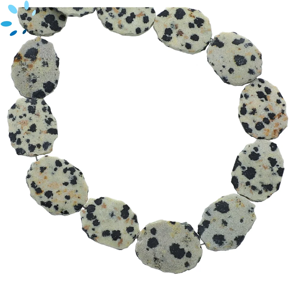 Dalmatian Jasper Smooth Slice Top to Bottom Drilled Beads 15x12mm - 8 Inch Strand