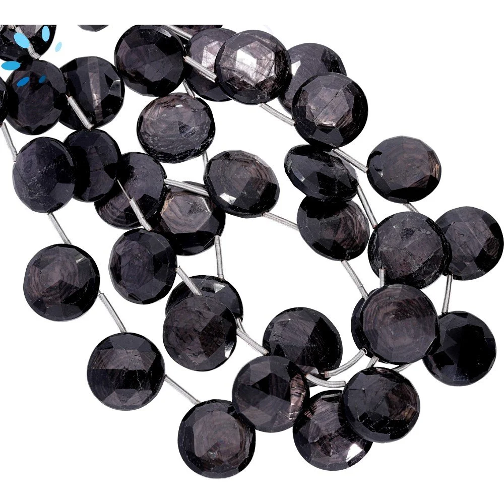 Hypersthene Faceted Coin Top Drilled Beads 12mm - 8 Inch Strand