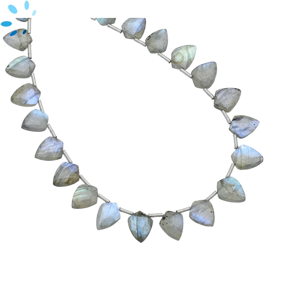 Labradorite Faceted Shield Top Drilled Beads 9x7mm - 8 Inch Strand